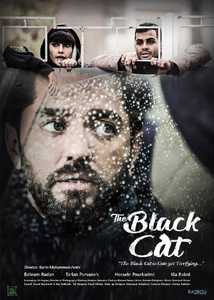 پوستر بین المللی فیلم «گربه سیاه» (the black cat)